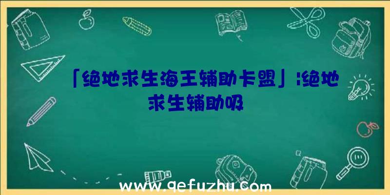 「绝地求生海王辅助卡盟」|绝地求生辅助吸